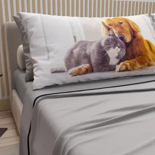 PETTI Artigiani Italiani - Bettwäsche Tiere mit Katzen und Hunden aus Baumwolle mit Kissenbezügen im Digitaldruck, Bettlaken für Einzelbett, hellgrau, 100% Made in Italy