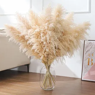 SHOKAN Pampasgras Groß 100cm/39inch, 10 Sträuße Getrocknetes XXL, Natürliche Flauschige Trockenblumen für Boho Deko Wohnzimmer Schlafzimmer Hochzeit
