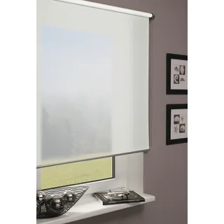 GARDINIA Rollo »Seitenzugrollo Lichtdurchlässig« transparent mit Bohren Schrauben, Decken-, Wand- oder Nischenmontage, weiß