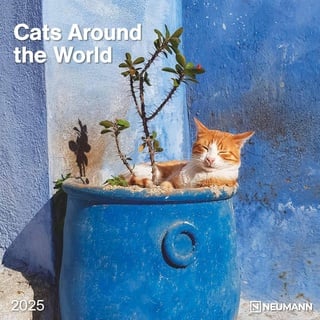 n neumannverlage Cats Around the World 2025 - Wand-Kalender - Broschüren-Kalender - 30x30 - 30x60 geöffnet - Katzen-Kalender