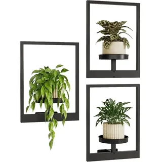 AQCQDQ 3er Pack Rahmen Pflanze Wandregal, Fenster Pflanzenregal, Bilderrahmen Schwarzes Wandhalterung für Hängende Pflanzen, Indoor & Outdoor Verwendung (3 Stück)