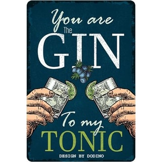 DODINO 20x30cm retro blechschilder YOU ARE THE GIN TO MY TONIC Cocktail Schild mit lustigen Sprüchen als Geschenk, Bar Deko, Küche, Metallschilder vintage als Alkohol Accessoires