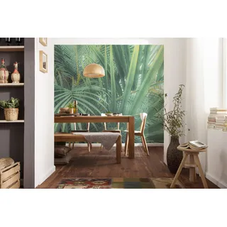 KOMAR Pure 2 Fototapete Foggy Fern (B x H: 400 x 250 cm, Vlies