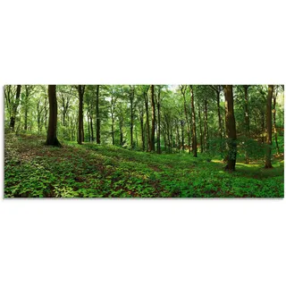 Artland Glasbild »Panorama von einem grünen Sommerwald«, Wald, (1 St.), in verschiedenen Größen, grün